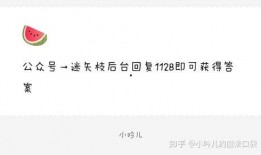 娱乐圈吃瓜爆料账号,揭秘明星背后的秘密与真相